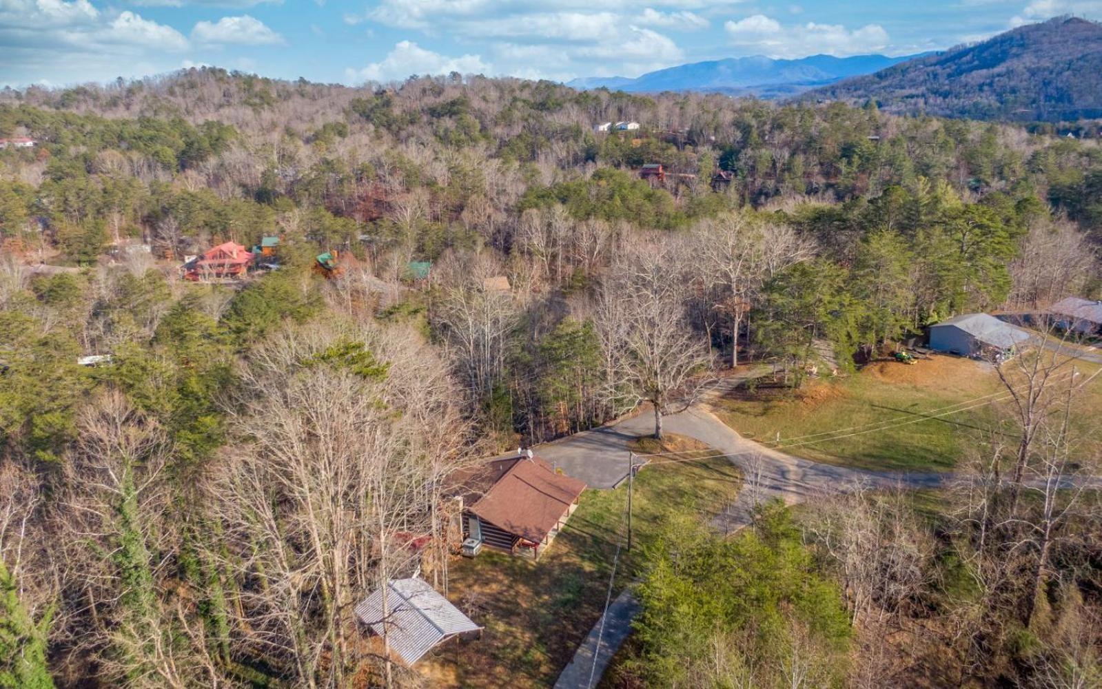 Wooded Bliss Hot Tub Single Level Cabin With No Steps Rocking Chairs And Wooded Views Pigeon Forge Buitenkant foto